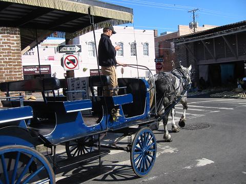 Horse-drawn tourist carriage in Market Street, Charleston, SC