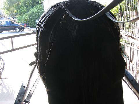 Brock the Percheron's bum