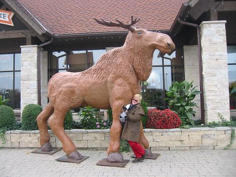 Margaret with life-sized moose