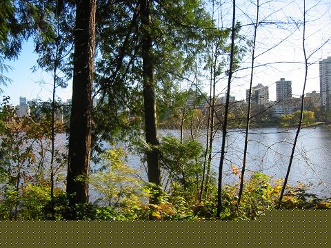 Scene in Stanley Park, Vancouver