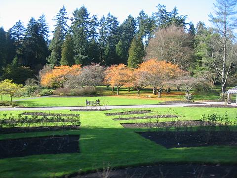 Rose garden in Stanley Park, Vancouver