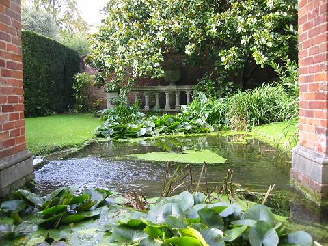 A water garden off the River Ichen
